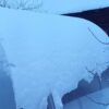 szklarnia ogrodowa z poliwęglanu